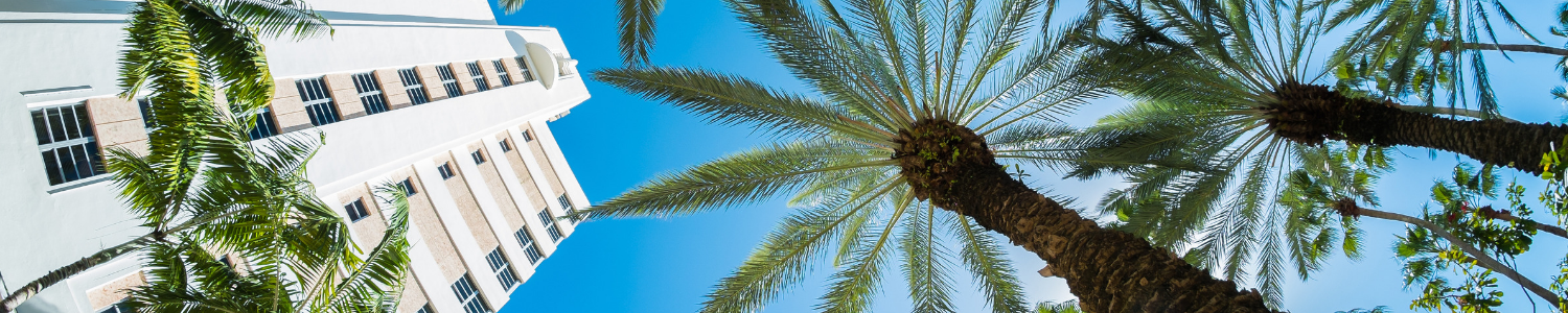palm trees and condo building Florida